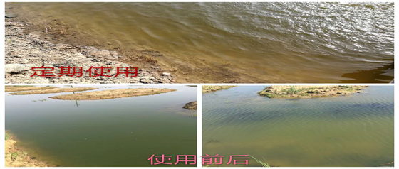 优菌1号稳定水质案例分享